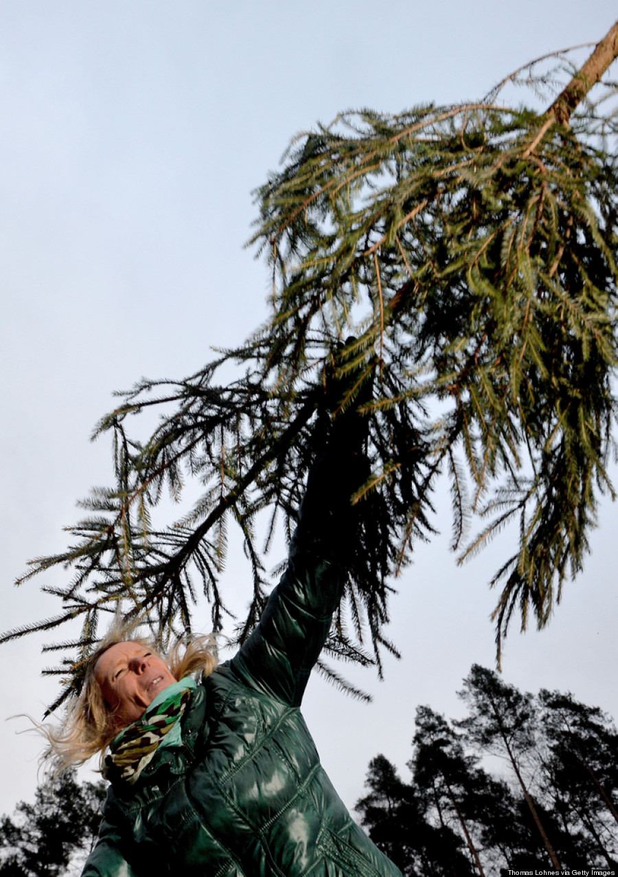 christmas tree throwing