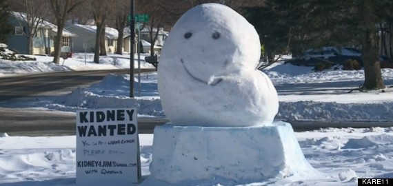 kidney snow structure