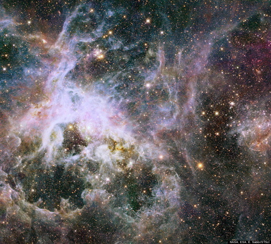 tarantula nebula