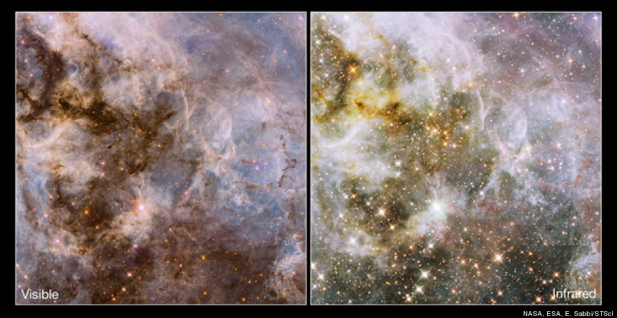 tarantula nebula