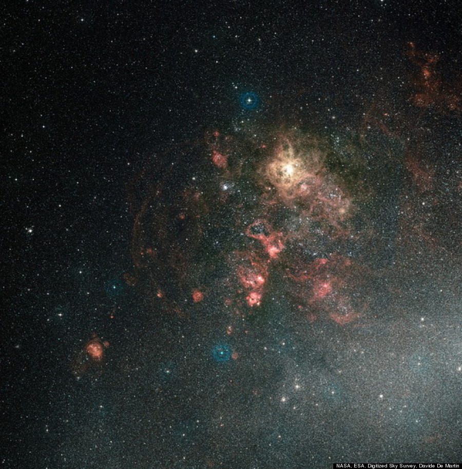 tarantula nebula