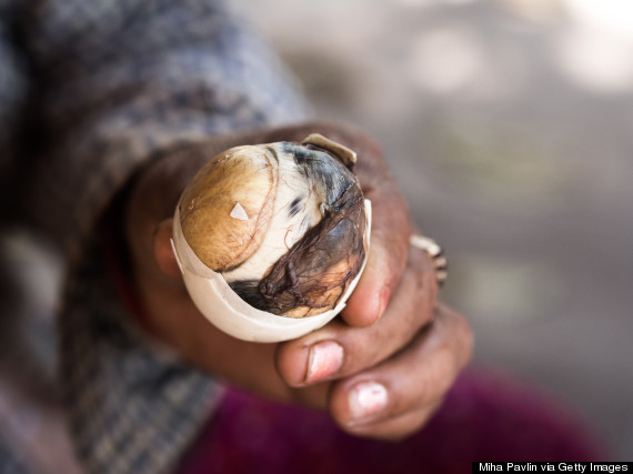 balut