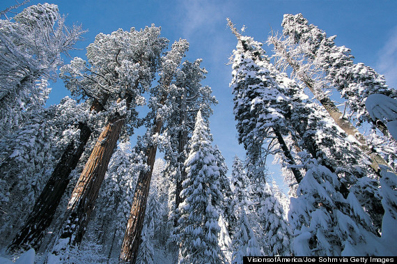 sequoia national park