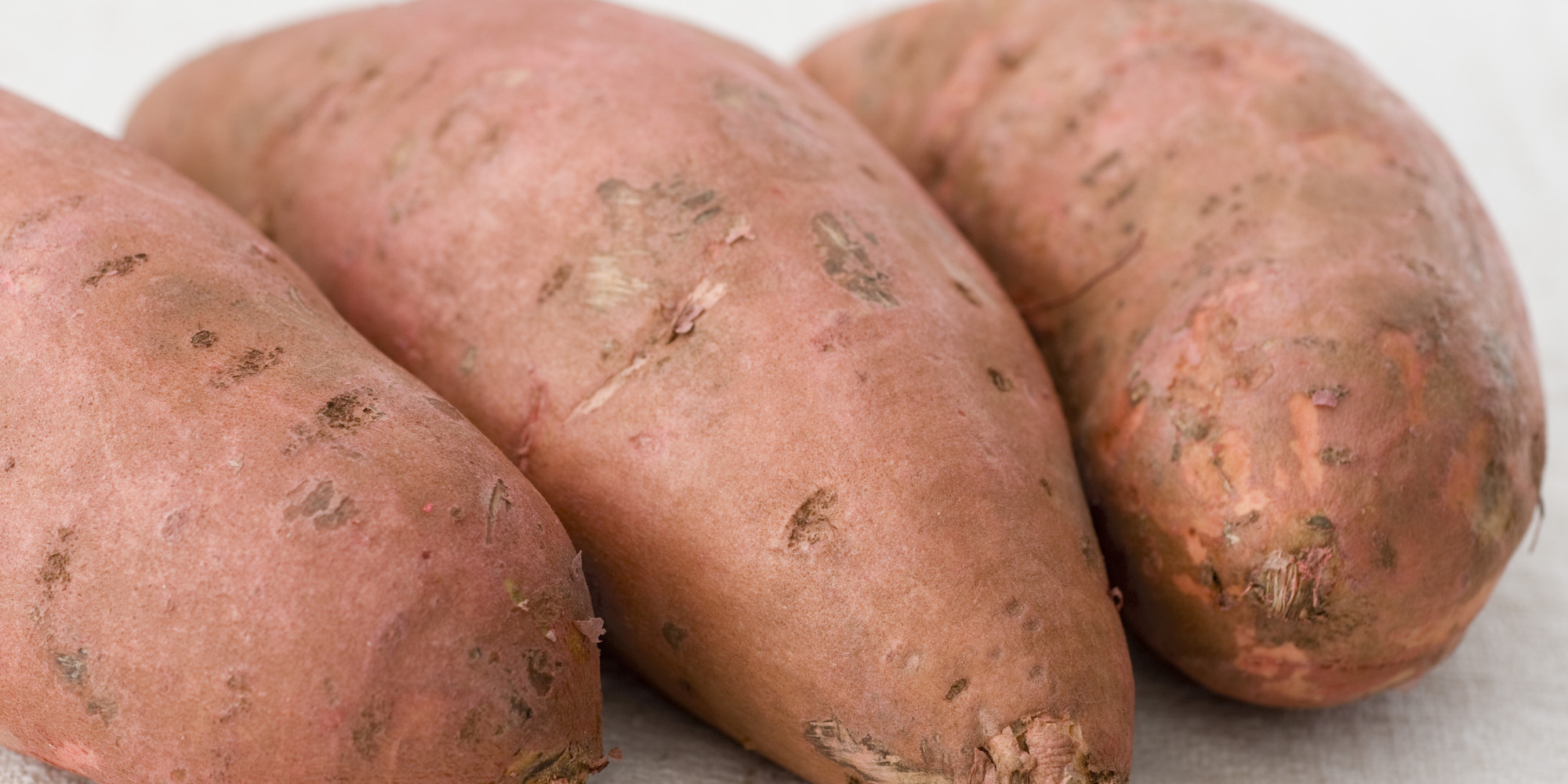 Pretty potato. Пепельный батат. Sweet Potato whitefly. P04-7 Potato.