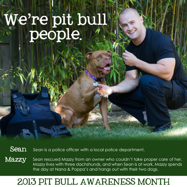 pit bull