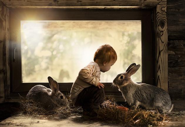 boy with two rabbits