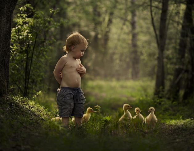 boy with ducks