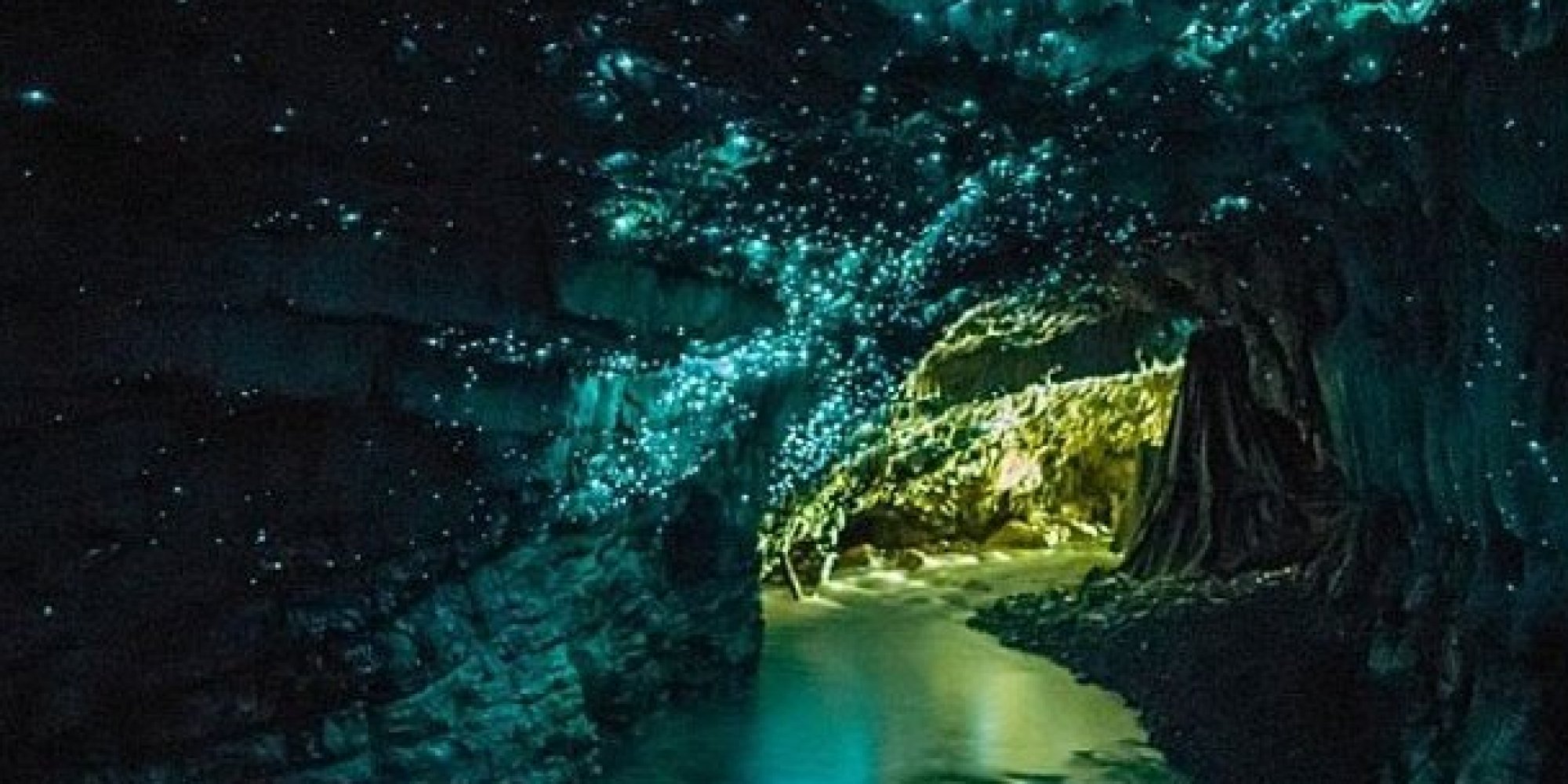 New Zealand Has A Cave Full Of Glow Worms, And You Should Go Inside It ...