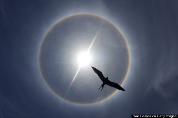 ice halo