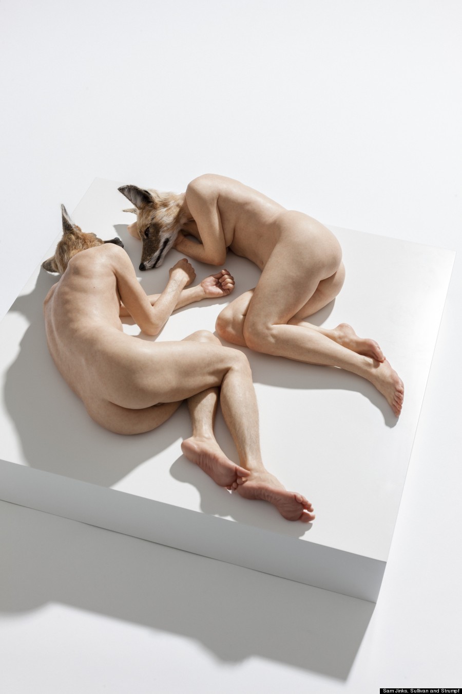 sam jinks 1