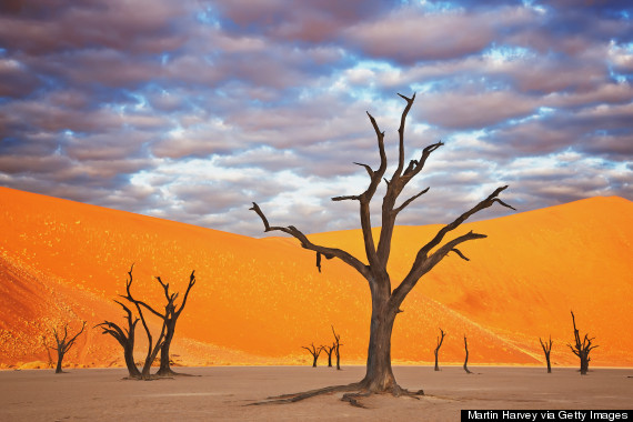 deadvlei