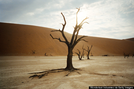 deadvlei