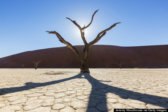 deadvlei