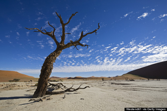 deadvlei