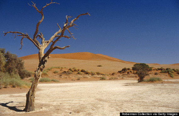 deadvlei