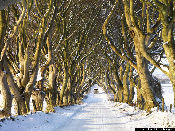 dark hedges ireland