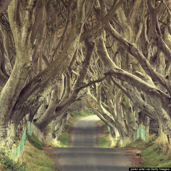 dark hedges ireland