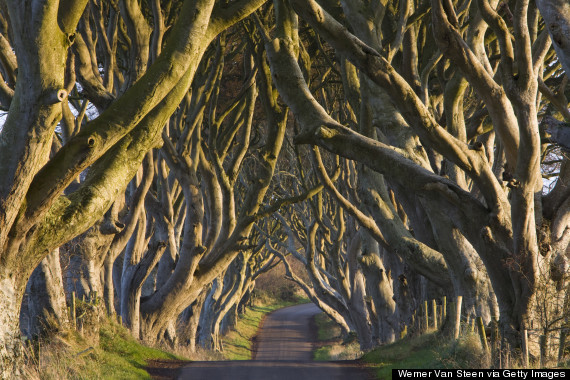 dark hedges ireland