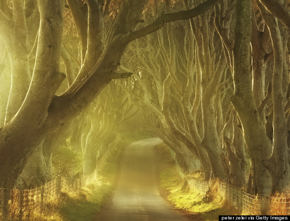 dark hedges ireland