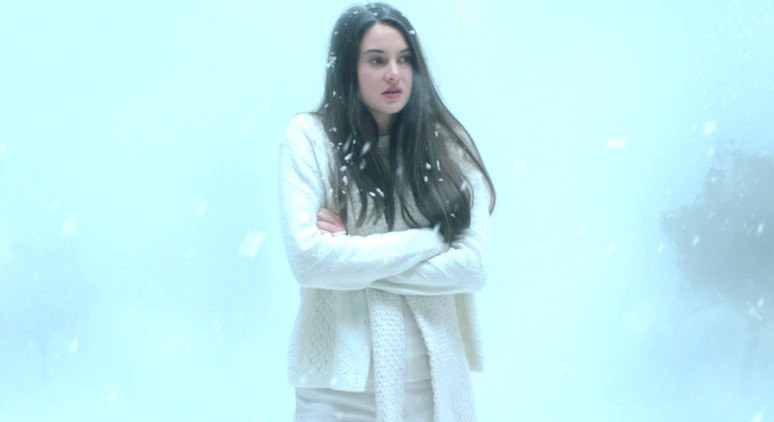 white bird in a blizzard