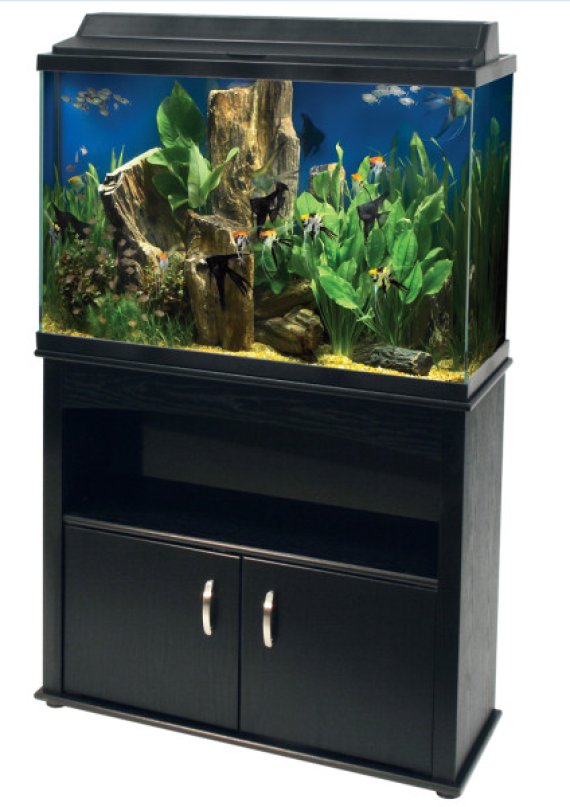 fish tank