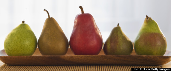 anjou pear