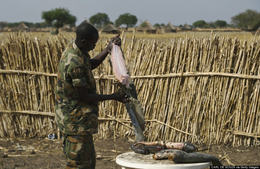 government soldier skins a fish in mathiang