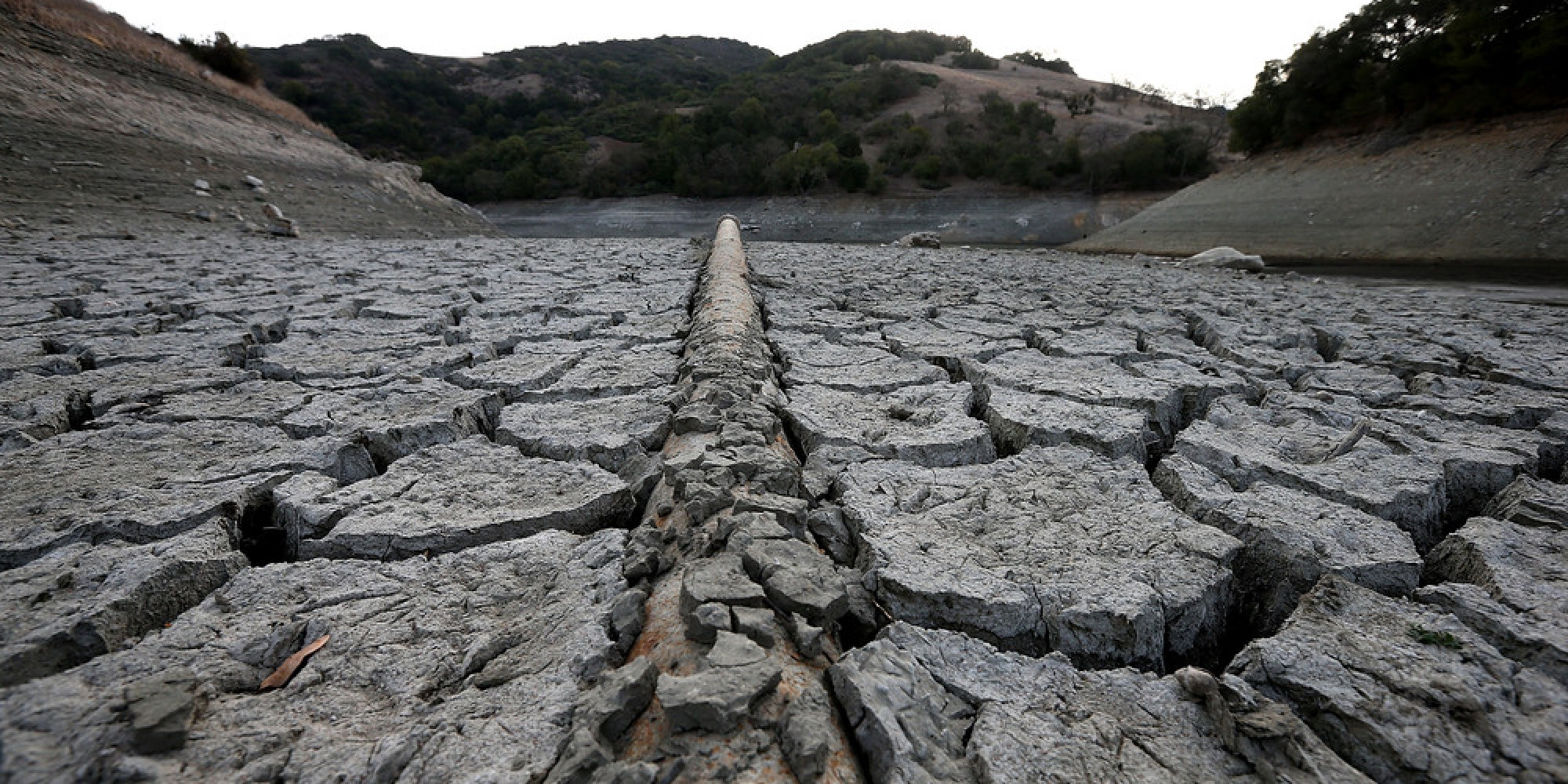 If You Like To Eat, You Should Really Be Worried About California's ...