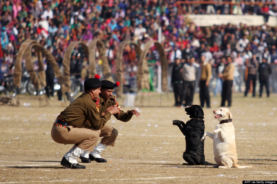 indian border security force