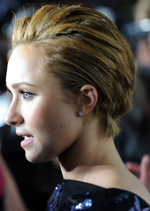 Hayden Panettiere Chops Off Her Hair Photos Huffpost 