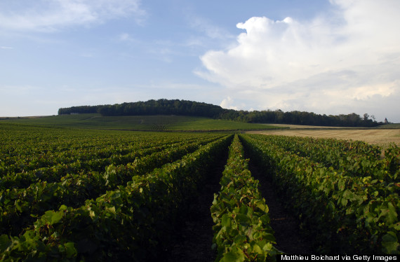 champagne france