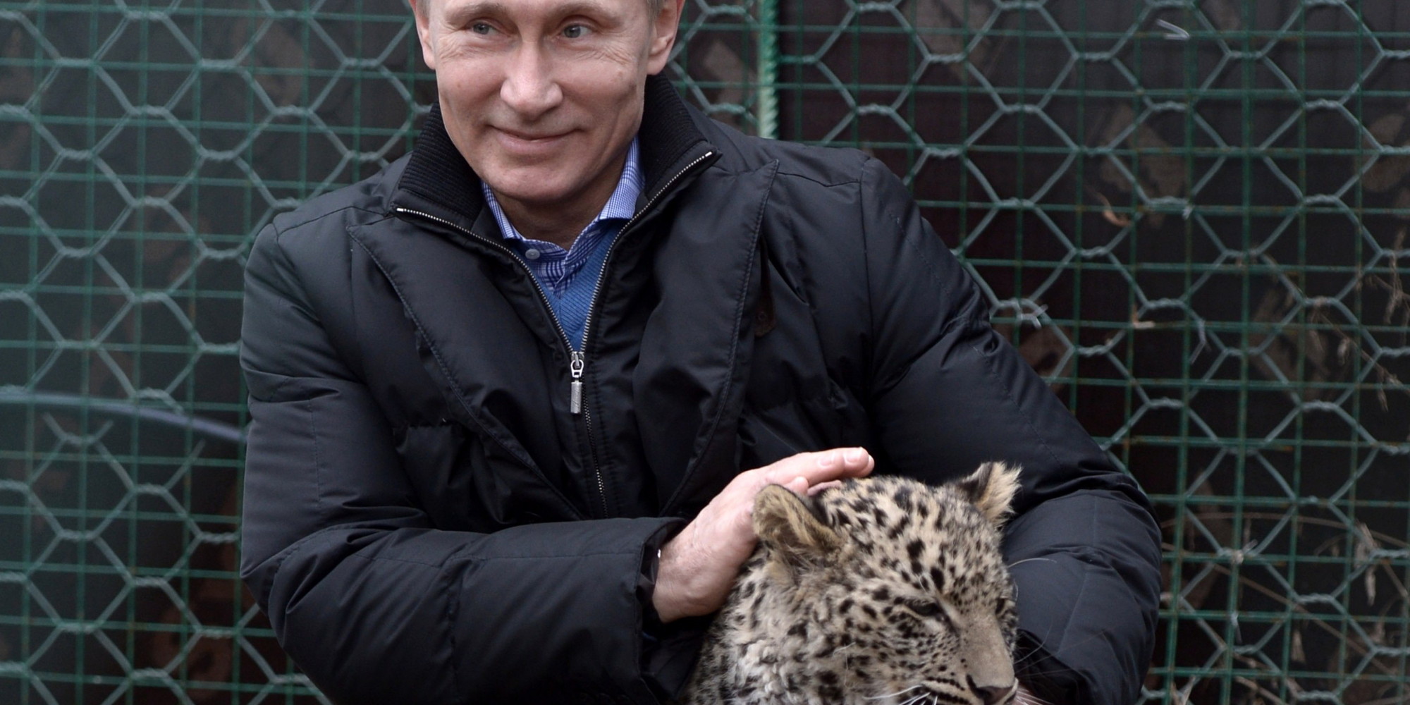 Путин с леопардом фото