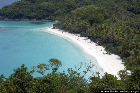 trunk bay st john