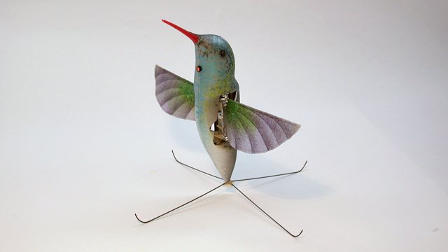 hummingbird