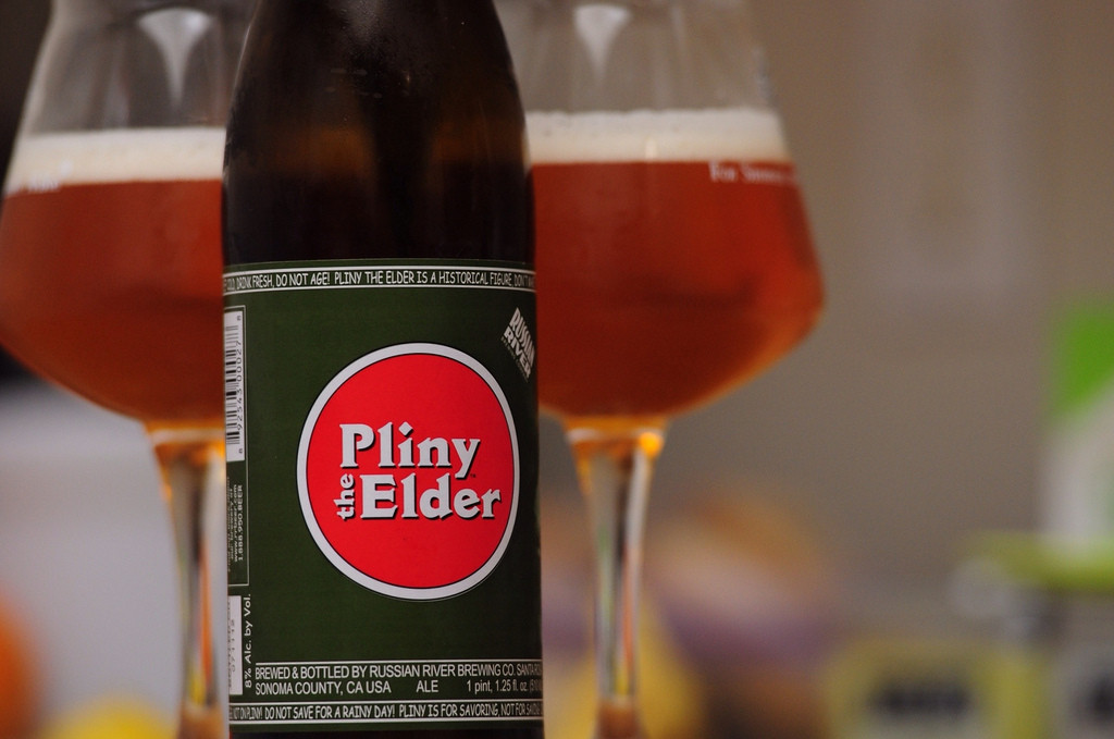 pliny the elder