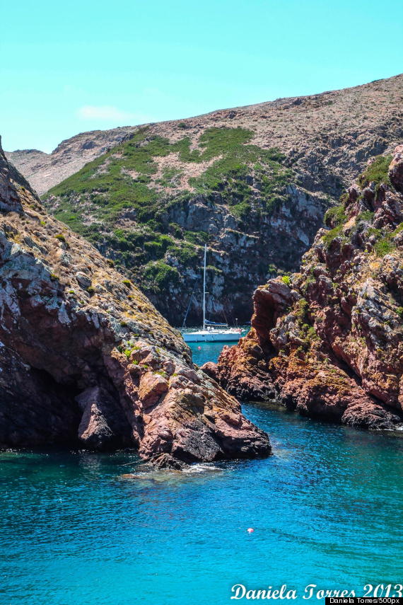 berlengas