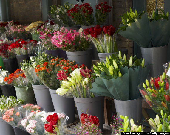 flower shop