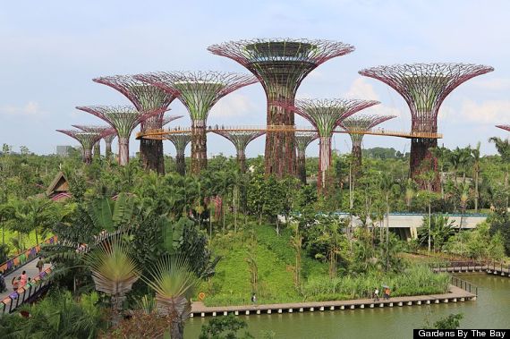 gardens by the bay