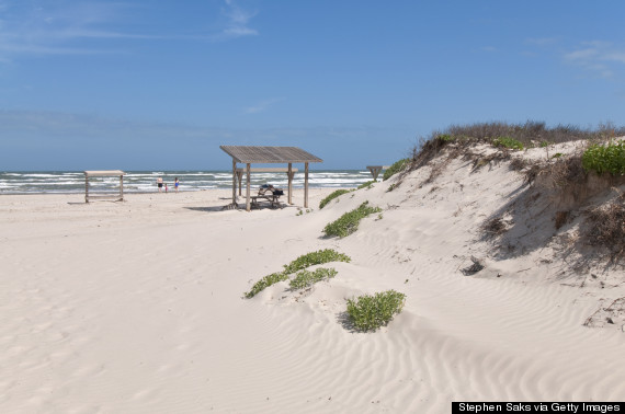 padre island national seashore