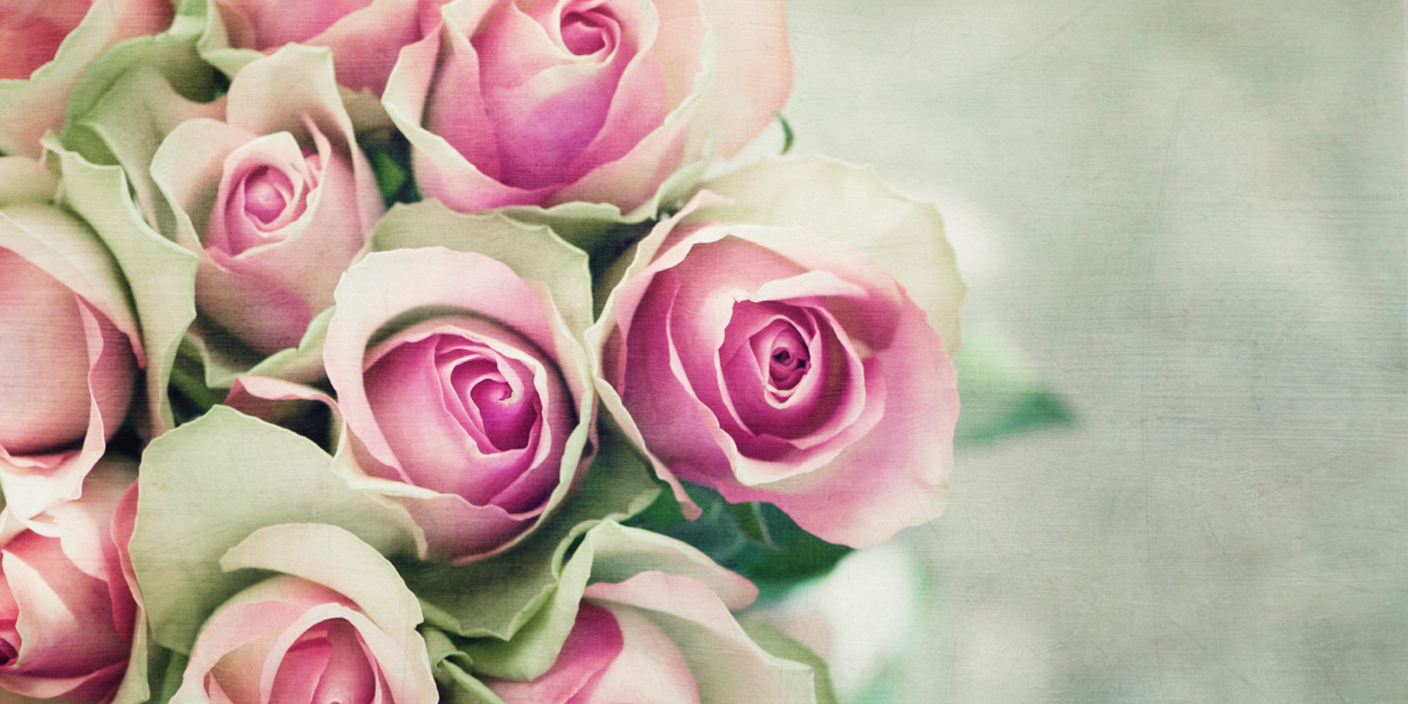 Coming Up Roses: This Is NOT Your Grandmother's Perfume | HuffPost