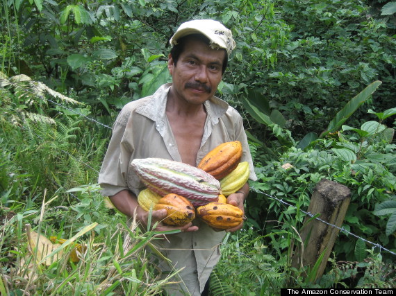 cacao