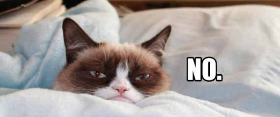 grumpy cat no