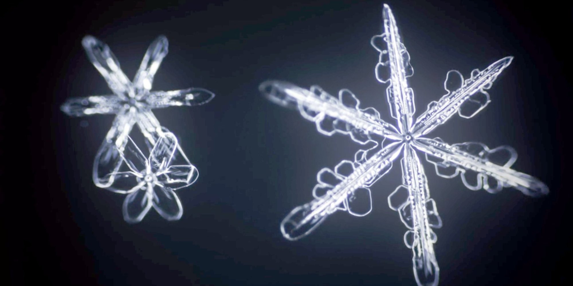 Watch A Snowflake Come To Life In This Mesmerizing Time-Lapse Video ...