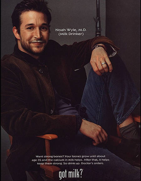 noah wyle