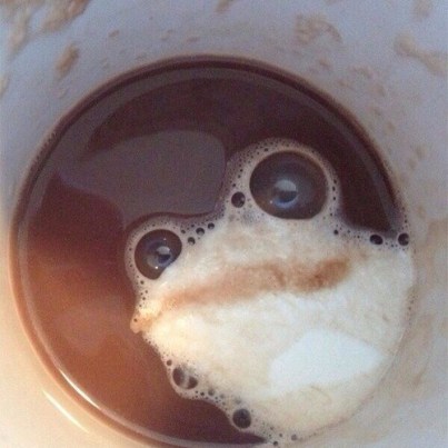 latte frog