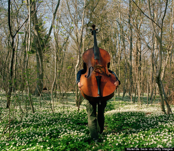 cello