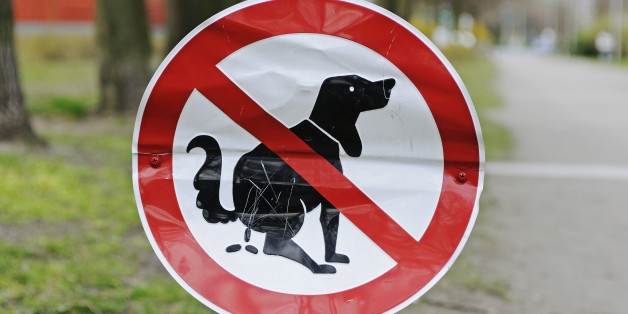 Naples, Italy, To DNA Test Dog Poop -- And You'll Be Fined Almost $700 ...