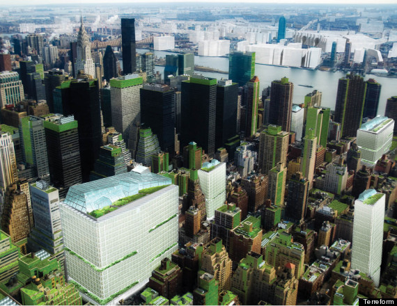 green roofs