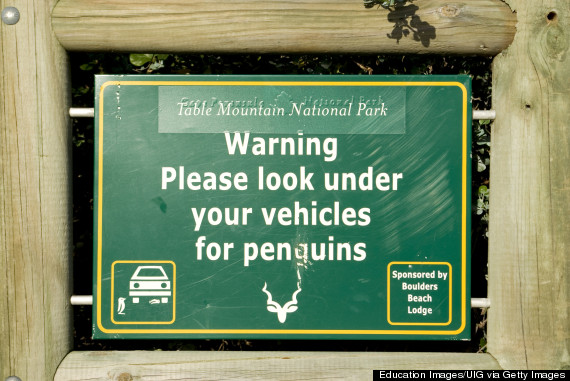 boulders beach