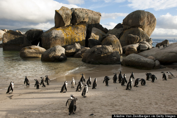 boulders beach